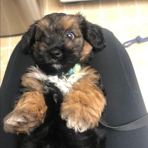 Meet your Posher, Jay